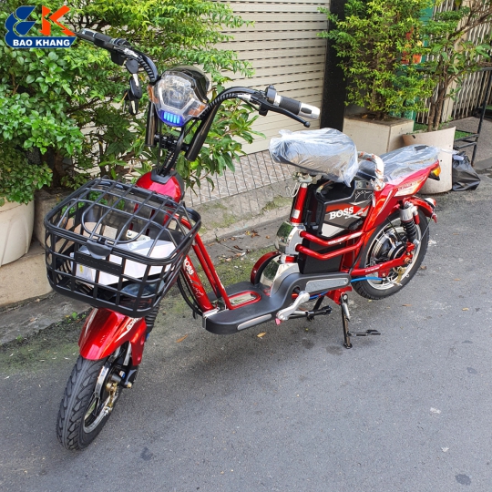 Xe đạp điện 2 yên 