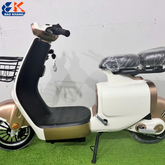 XE ĐẠP ĐIỆN EBIKE MỚI NHẤT