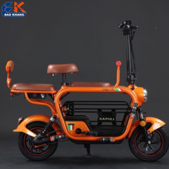 Xe đạp điện 2023